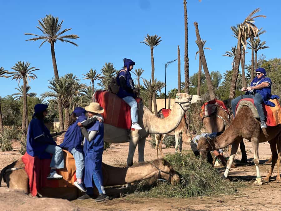 Marrakech: Quad Bike excursion at the sunset with Tea Break - Key points at a glance