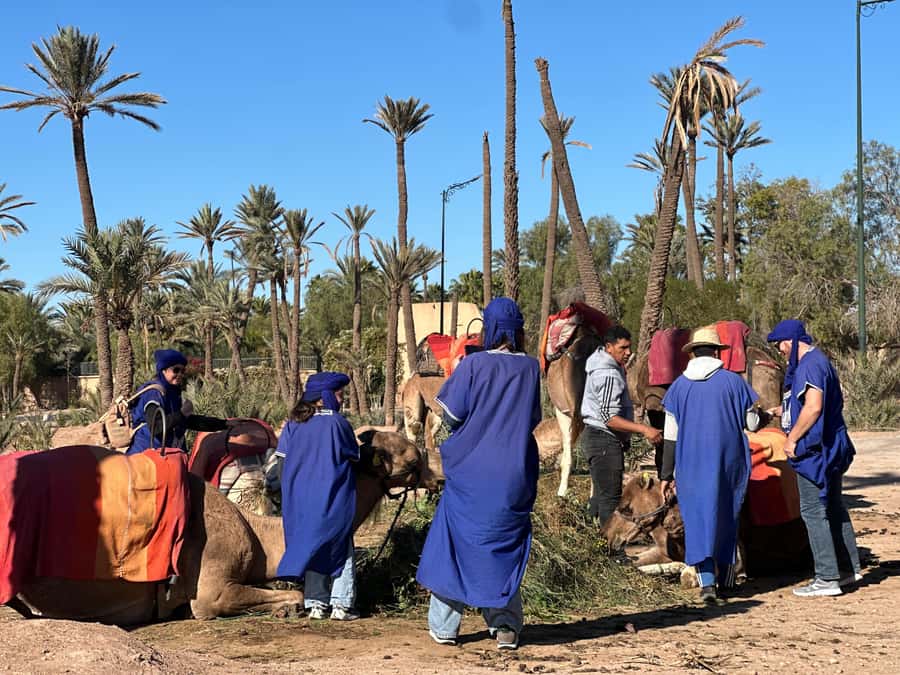 Marrakech: Quad Bike excursion at the sunset with Tea Break - Riding through the Palmeraie