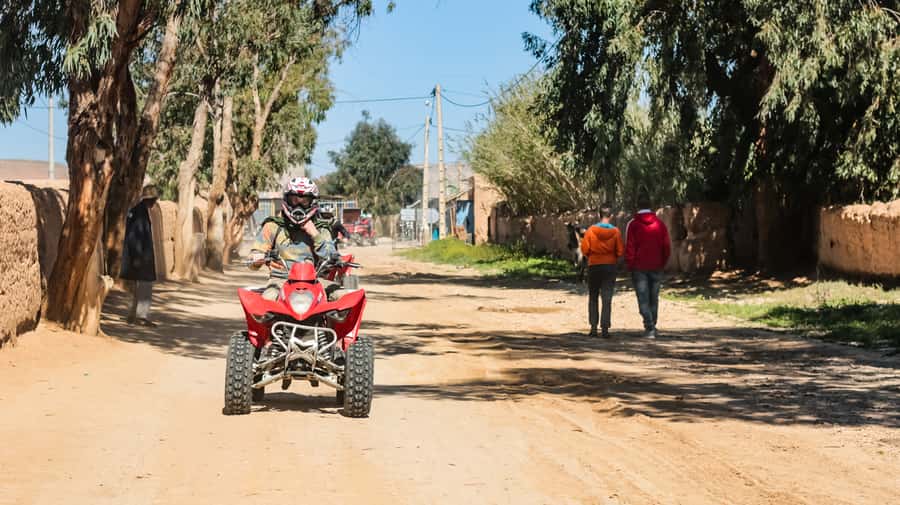Marrakech Quad Bike Experience: Desert and Palmeraie - Key points at a glance