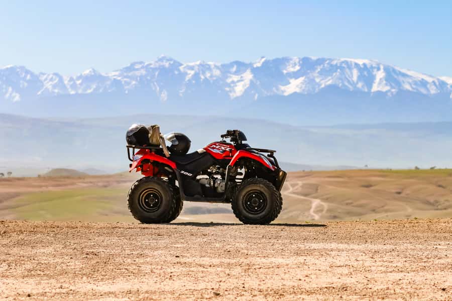 Marrakech Quad Bike Experience: Desert and Palmeraie - A village pause and Moroccan tea