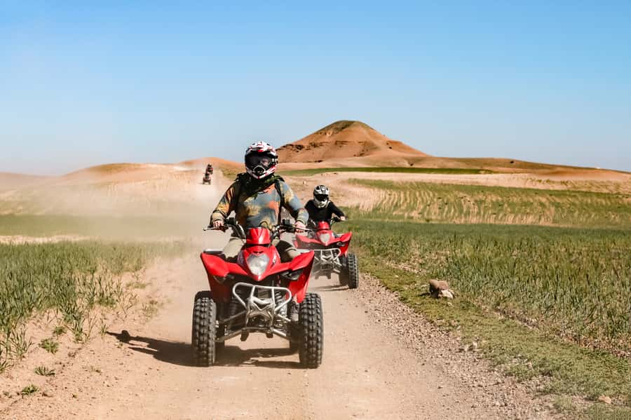 Marrakech Quad Bike Experience: Desert and Palmeraie - Is $14 really good value?