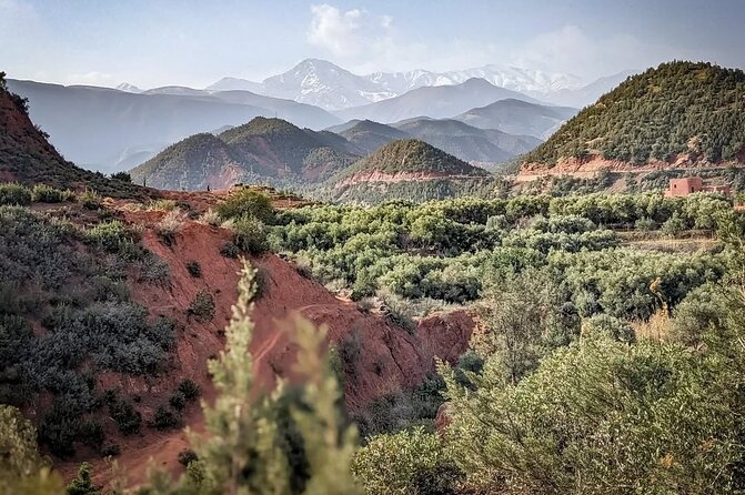 Marrakech: Quad Bike, Sunset, and Dinner Show in Agafay Desert - What to bring for a smoother evening