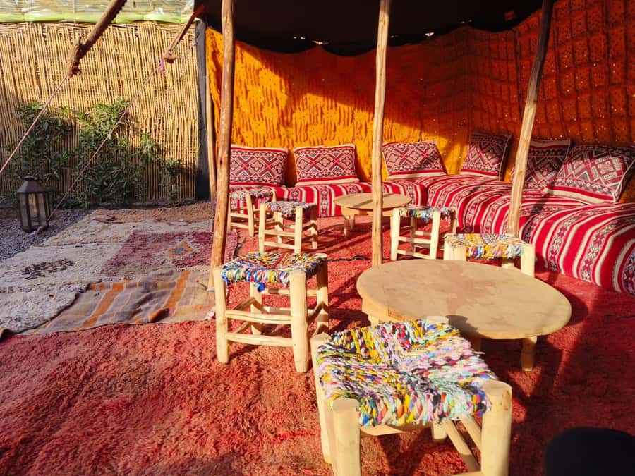 Marrakech: Quad Bike Tour to Palm Oasis and Jbilat Desert - Is $15 really good value?