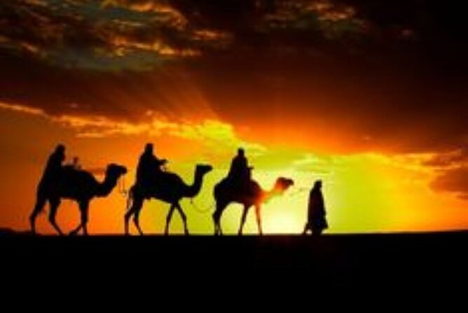 Marrakech: Quad & Camel Ride with Sunset, Dinner & Show - Quick points to know