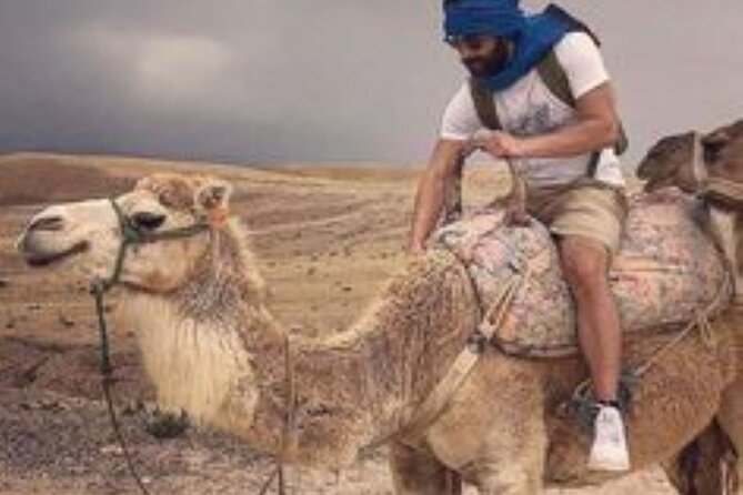 Marrakech: Quad & Camel Ride with Sunset, Dinner & Show - A short camel ride with a traditional feel