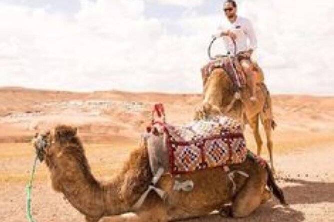 Marrakech: Quad & Camel Ride with Sunset, Dinner & Show - Sunset in rocky Agafay, not the Sahara