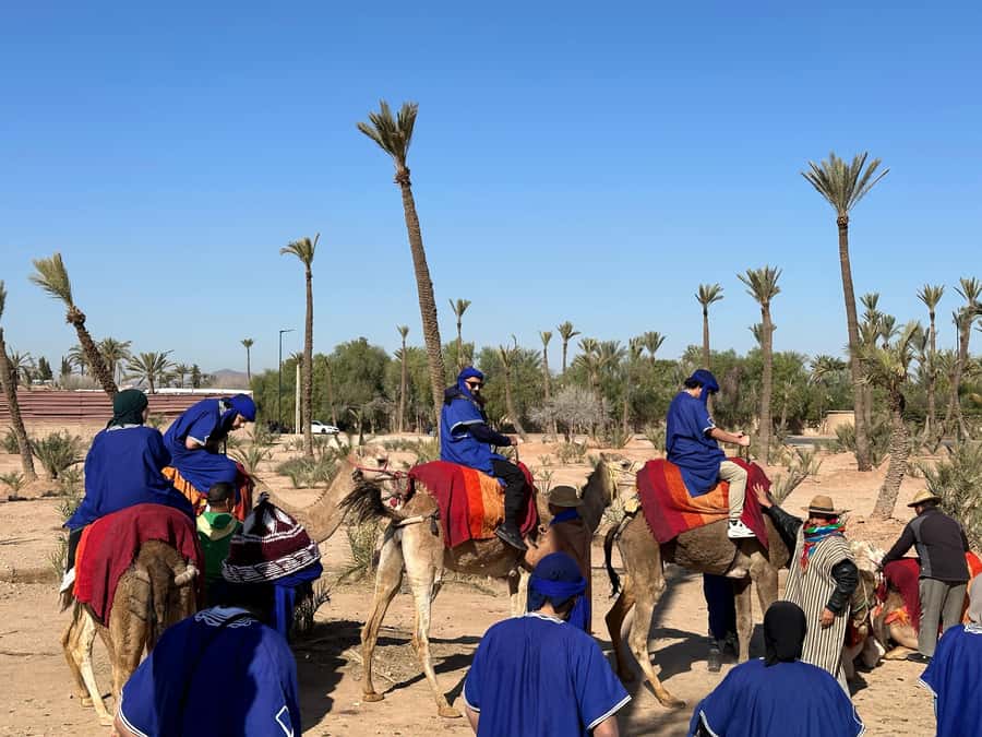 Marrakech:quad excursion at Jbilet desert with Moroccan tea - My final take on the Jbilet quad ride