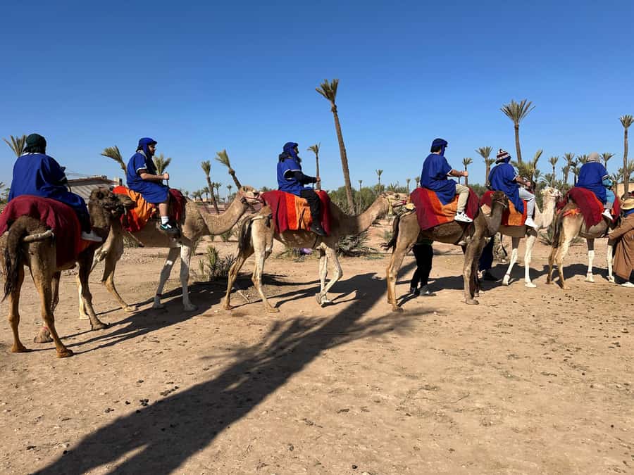 Marrakech:quad excursion at Jbilet desert with Moroccan tea - A Moroccan tea break in the open desert
