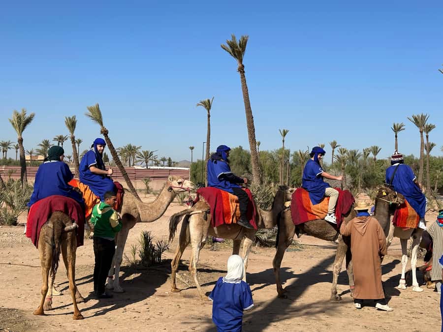 Marrakech:quad excursion at Jbilet desert with Moroccan tea - What the guide adds to the ride