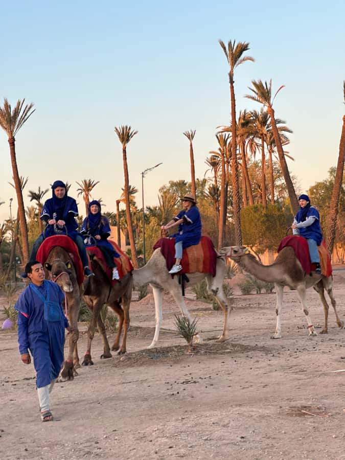 Marrakech:quad excursion at Jbilet desert with Moroccan tea - Is $17 a good value?
