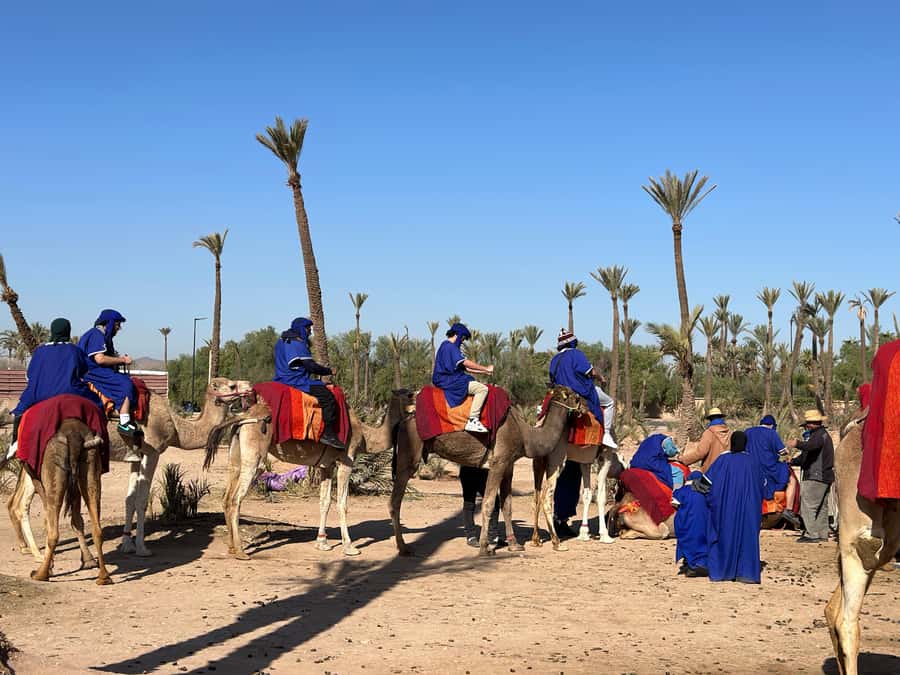 Marrakech:quad excursion at Jbilet desert with Moroccan tea - Who will enjoy this Marrakech excursion?
