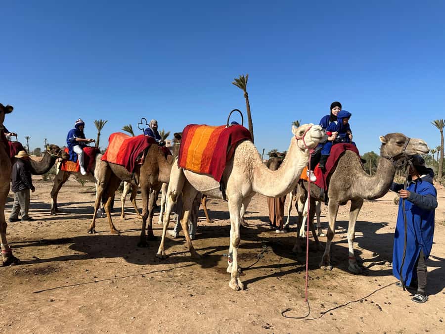 Marrakech:quad excursion at Jbilet desert with Moroccan tea - Two hours across palm groves and desert tracks