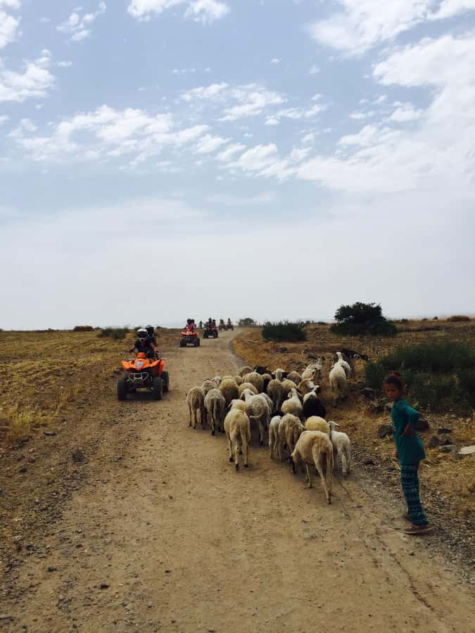 Marrakech: Quad Tour in Jbilets Desert with Palm Grove - Palms, village views, and the Atlas Mountains