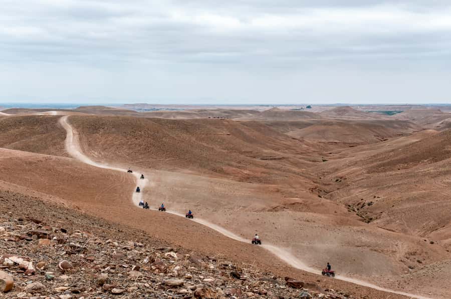 Marrakech: Quad Tour in Jbilets Desert with Palm Grove - Shared quads, private quads, and who will enjoy this