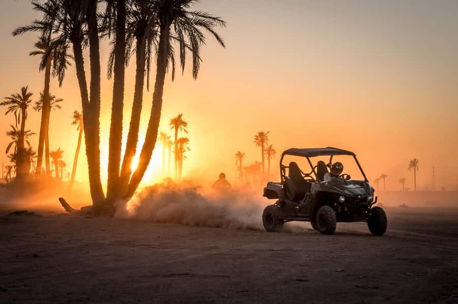 Marrakech : Ride buggy in the desert of the palm grove - Key points to know before booking