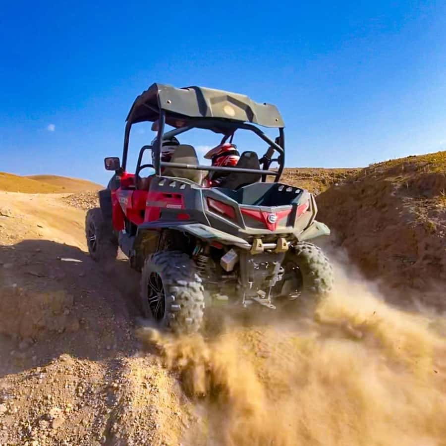 Marrakech : Ride buggy in the desert of the palm grove - Why the Palmeraie makes a good buggy setting