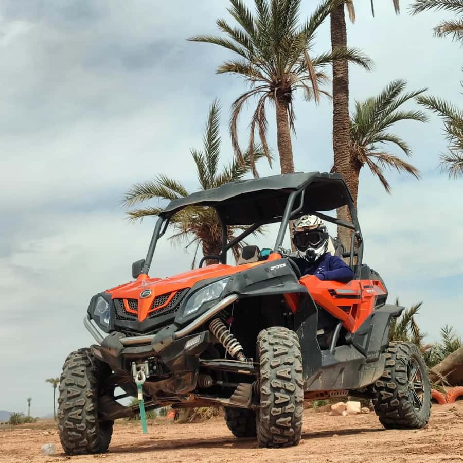 Marrakech : Ride buggy in the desert of the palm grove - Berber villages and a slower side of the outing