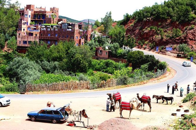 Marrakech : shared trip to ourika valley with guide & lunch - Why Ourika Valley makes a good break from Marrakech