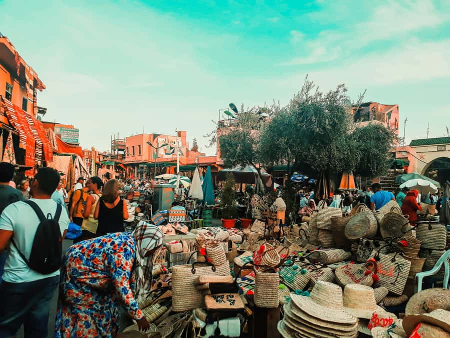 Marrakech & Souk Shopping Tour. - Shopping for carpets, leather, lamps, and spices