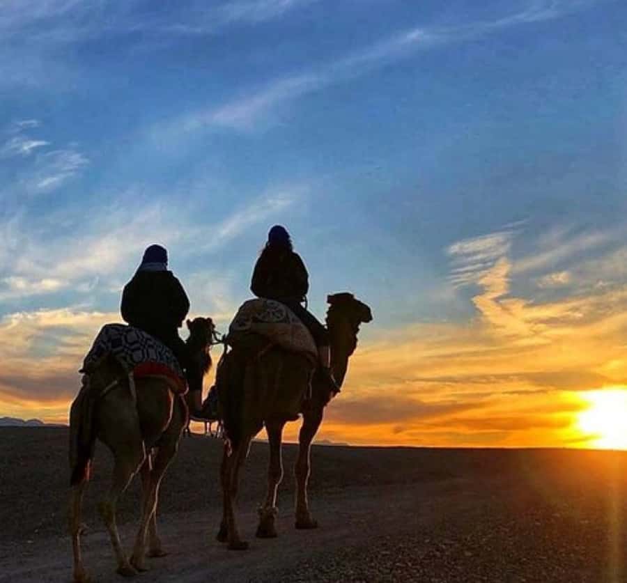 Marrakech: Sunrise Desert Tour with Camel Ride and Breakfast - Why an early start works so well