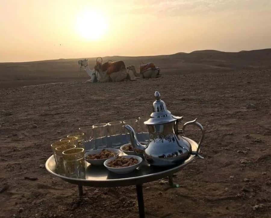 Marrakech: Sunrise Desert Tour with Camel Ride and Breakfast - Who will enjoy this sunrise outing most?