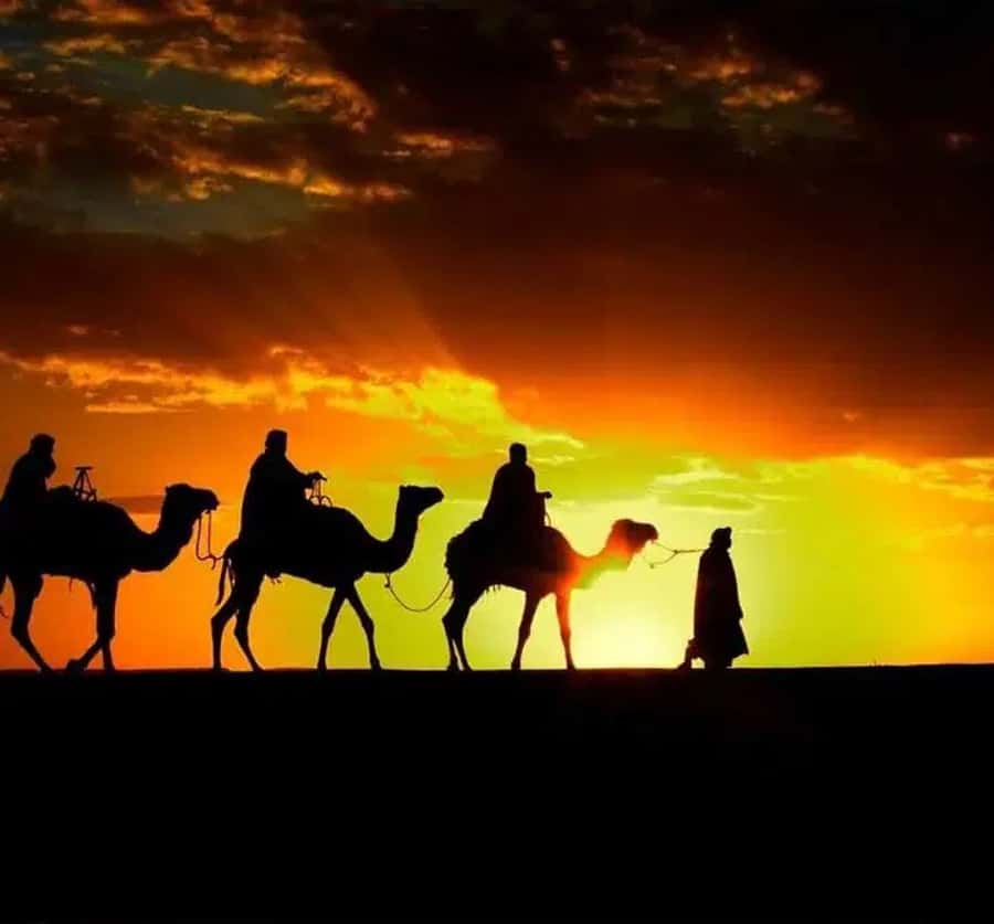 Marrakech: Sunrise Desert Tour with Camel Ride and Breakfast - From Marrakech to the Agafay Desert in about 50 minutes