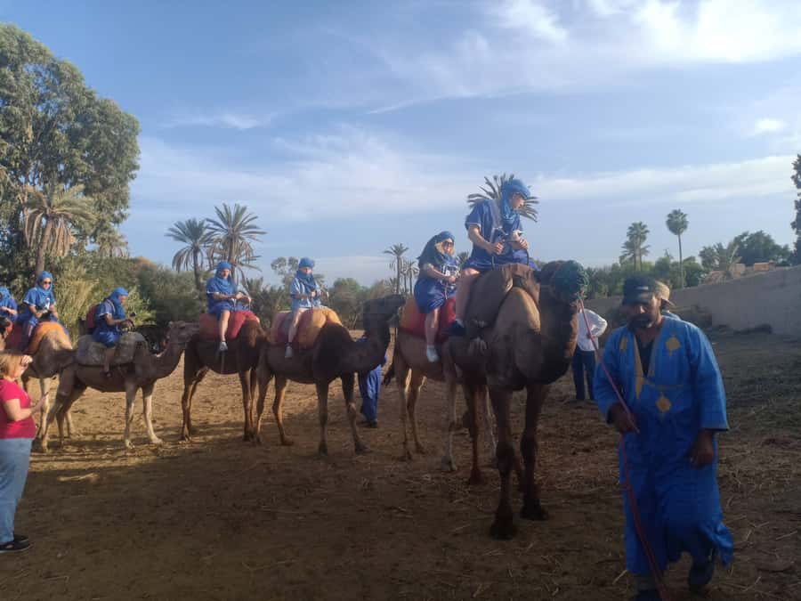 Marrakech: Sunset Camel Ride in the Palmeraie - Key points to know before booking