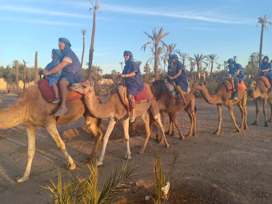 Marrakech: Sunset Camel Ride in the Palmeraie - Leaving Marrakech for the Palmeraie