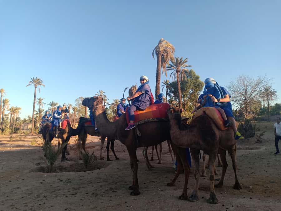 Marrakech: Sunset Camel Ride in the Palmeraie - Mint tea and what the break really includes