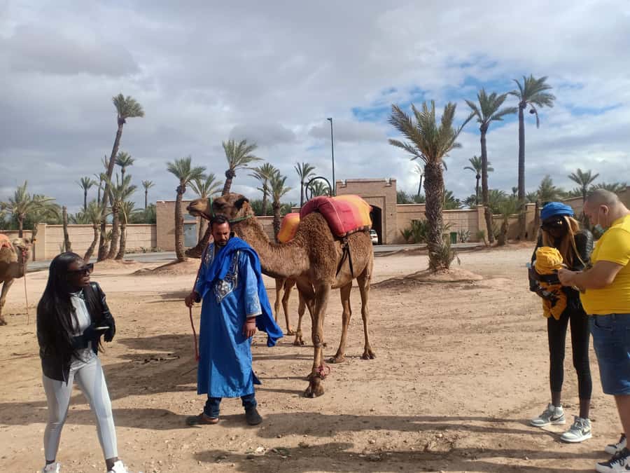 Marrakech: Sunset Camel Ride in the Palmeraie - The driver and guide can shape the evening
