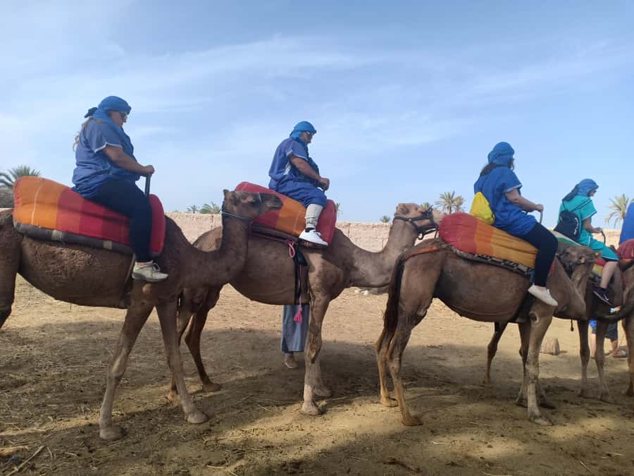 Marrakech: Sunset Camel Ride in the Palmeraie - What the 150 minutes actually means