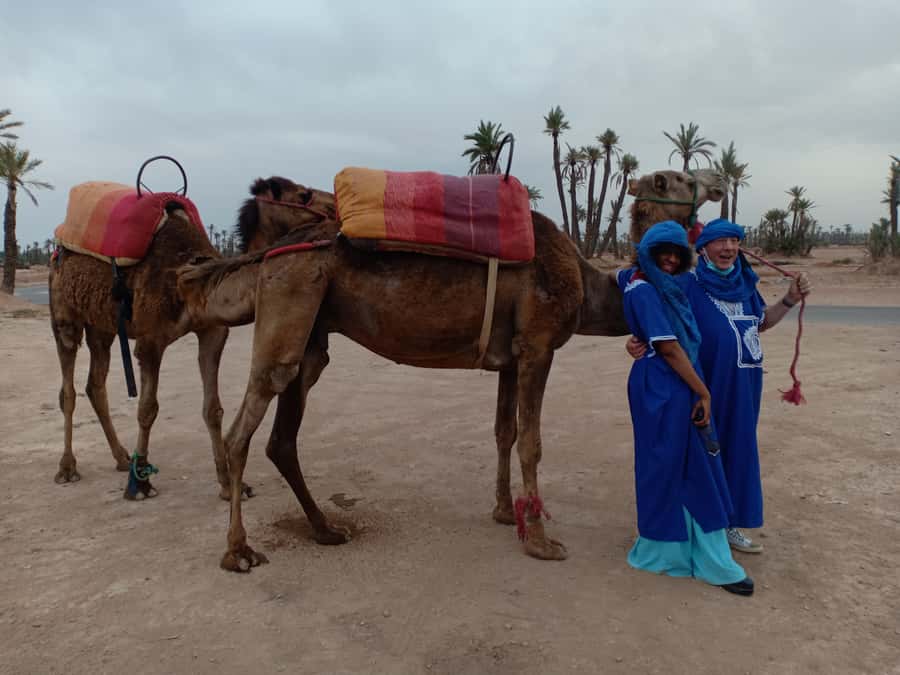 Marrakech: Sunset Camel Ride in the Palmeraie - Meeting the camel caravan and dressing for the ride