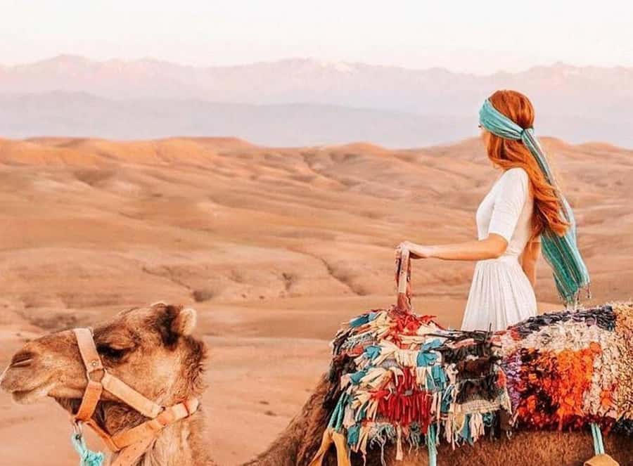 Marrakech: Sunset Dinner in Agafay Desert with Camel Ride - A short camel ride across Agafay’s rocky desert