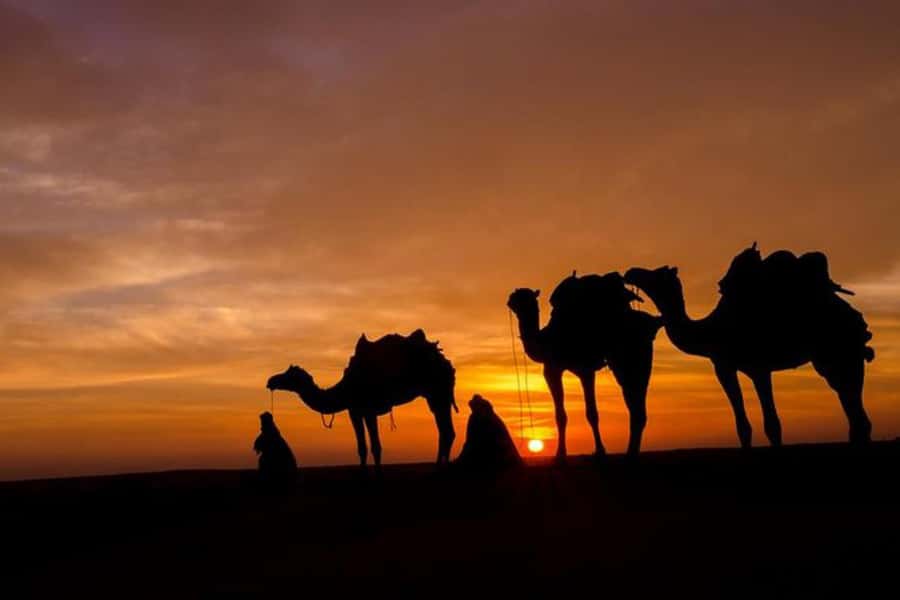 Marrakech: Sunset Dinner in Agafay Desert with Camel Ride - Sunset near the Berber camp
