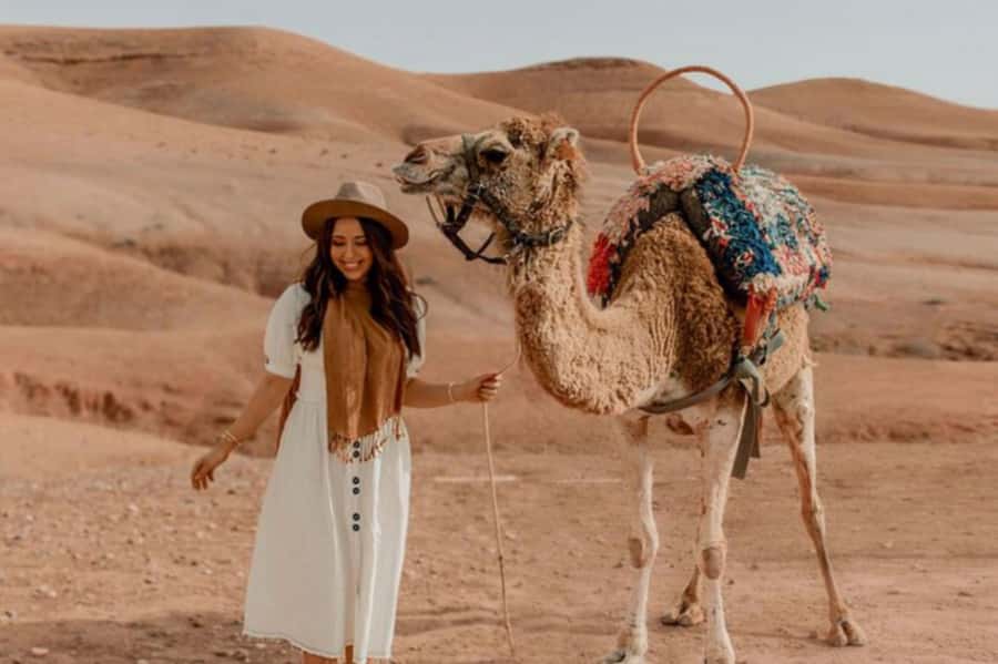 Marrakech: Sunset Dinner in Agafay Desert with Camel Ride - What the five-and-a-half-hour schedule feels like