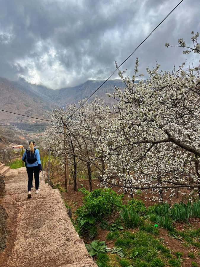 Marrakech: Tedli Summit Atlas Mountains Day Hike & Lunch - Why this Marrakech day trip is good value