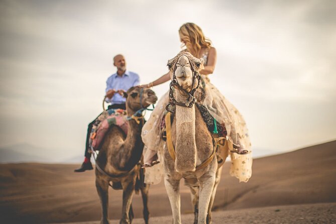 Marrakech: Three Valleys, Atlas, Camel Ride, Waterfalls, & Lunch - Key things to know before booking