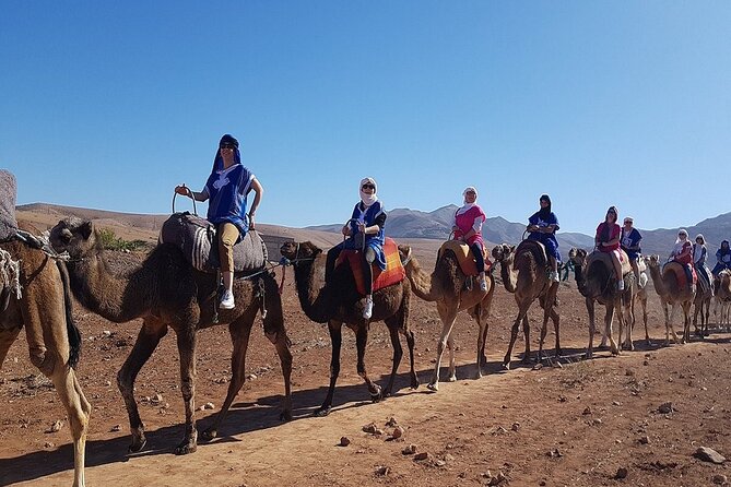Marrakech: Three Valleys, Atlas, Camel Ride, Waterfalls, & Lunch - Mountain villages and the Saturday market