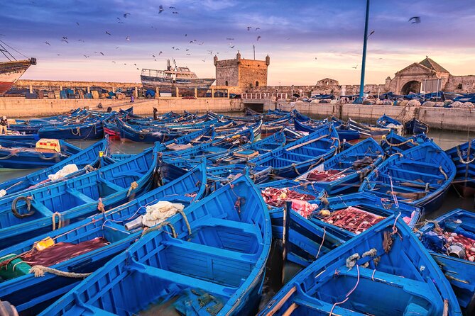 Marrakech to Essaouira: Day of Discovery Along Morocco Coastal - Key points before you book