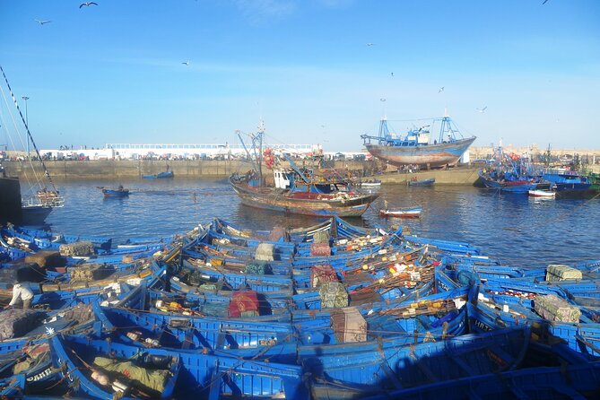 Marrakech to Essaouira: Day of Discovery Along Morocco Coastal - Fish market, harbor, and Atlantic views