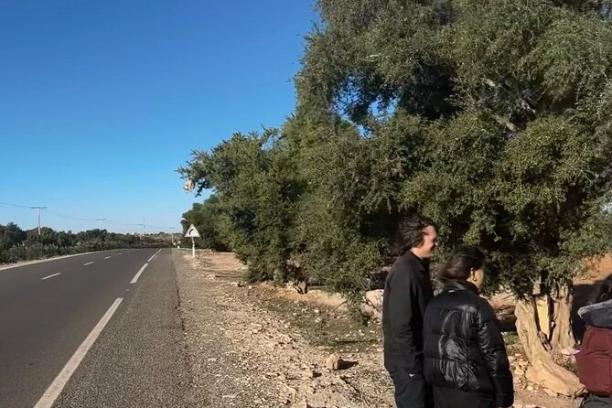 Marrakech to Essaouira / Small group day tour To Essaouira - A self-guided visit with a driver on the road