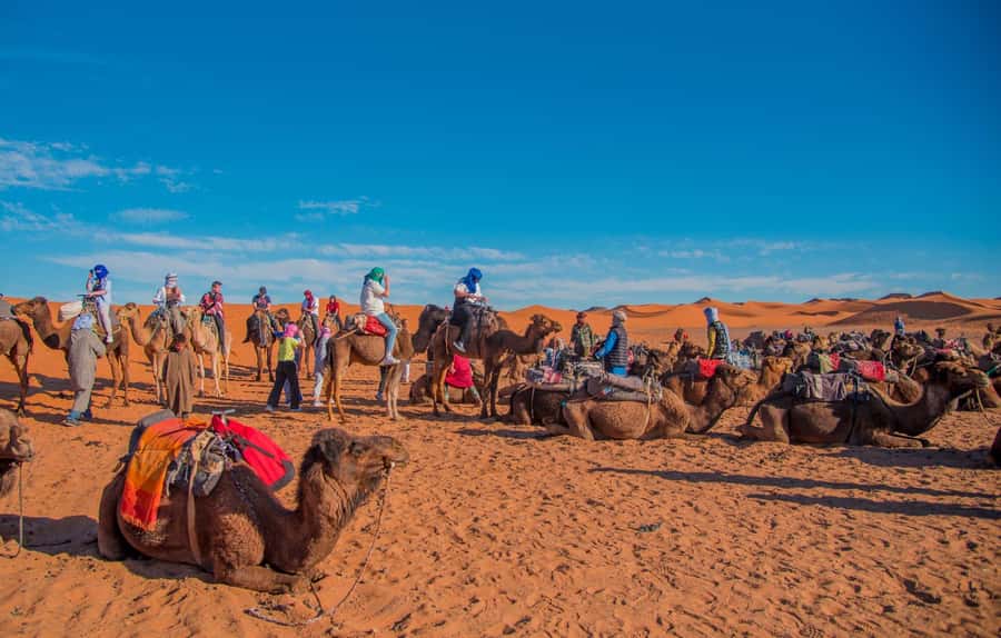 Marrakech to Fes: 3-Day Merzouga Desert Camel & Sandboarding - Sunset by camel in the Erg Chebbi dunes