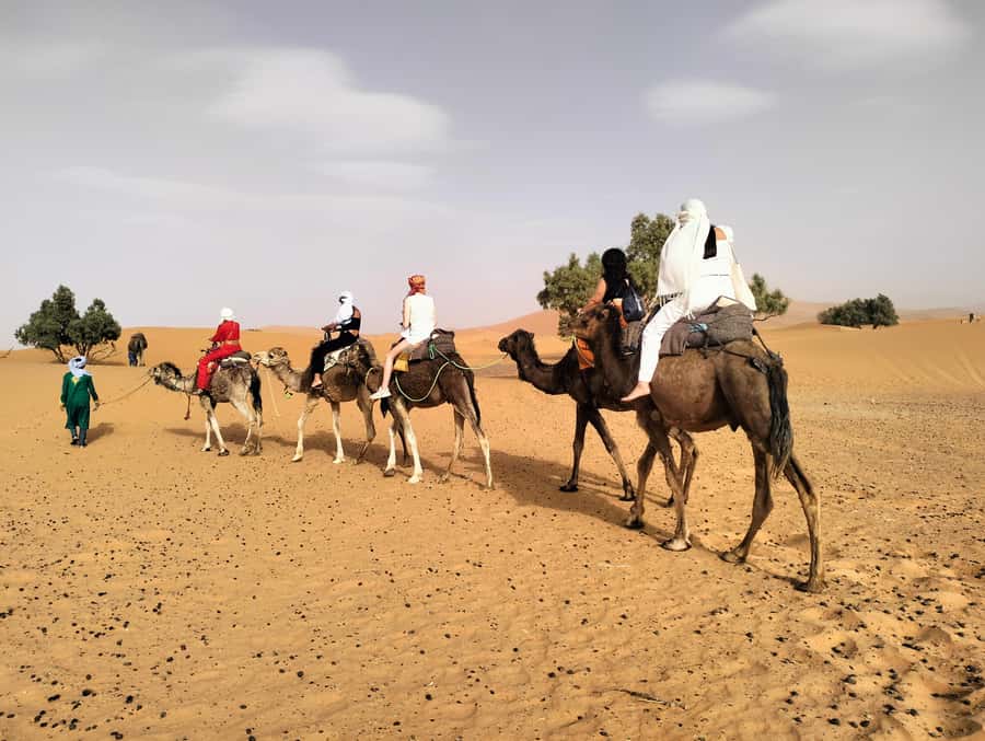 Marrakech to Fes 3 Days Sahara Desert Tour With Camel & Quad - The guides can shape the whole trip