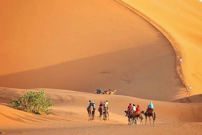 Marrakech to Fez via Merzouga Desert 3-Days | Marrakech-to-Fes - Key points at a glance
