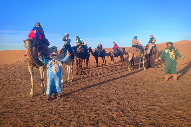 Marrakech to Fez via Merzouga Desert 3-Days Sahara Tour - What the $162.21 price really buys