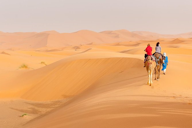 Marrakech to Fez via Merzouga Desert 3-Days Sahara Tour - Day 1: Tizi n’Tichka and the walls of Aït Benhaddou
