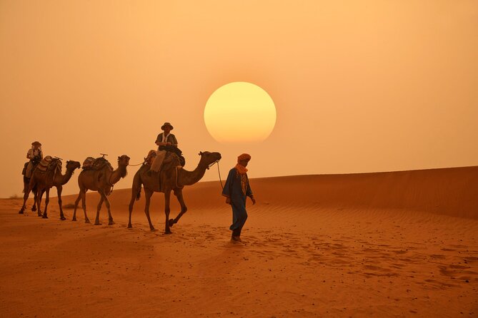 Marrakech to Merzouga Desert 3-Day via the High Atlas Mountains - The early return through the rose valley
