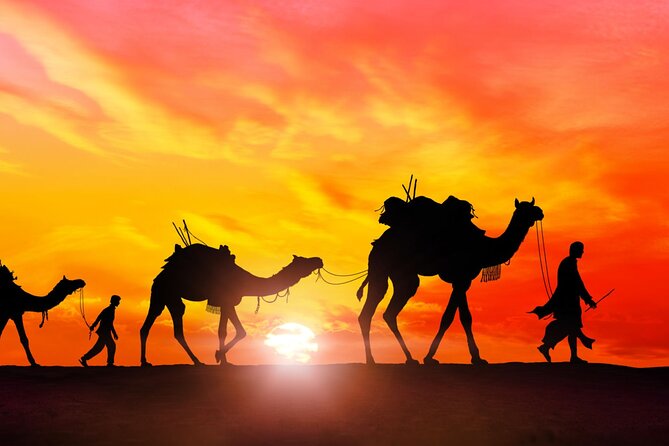 Marrakech to Merzouga Desert 3-Day via the High Atlas Mountains - Guides can shape the whole experience