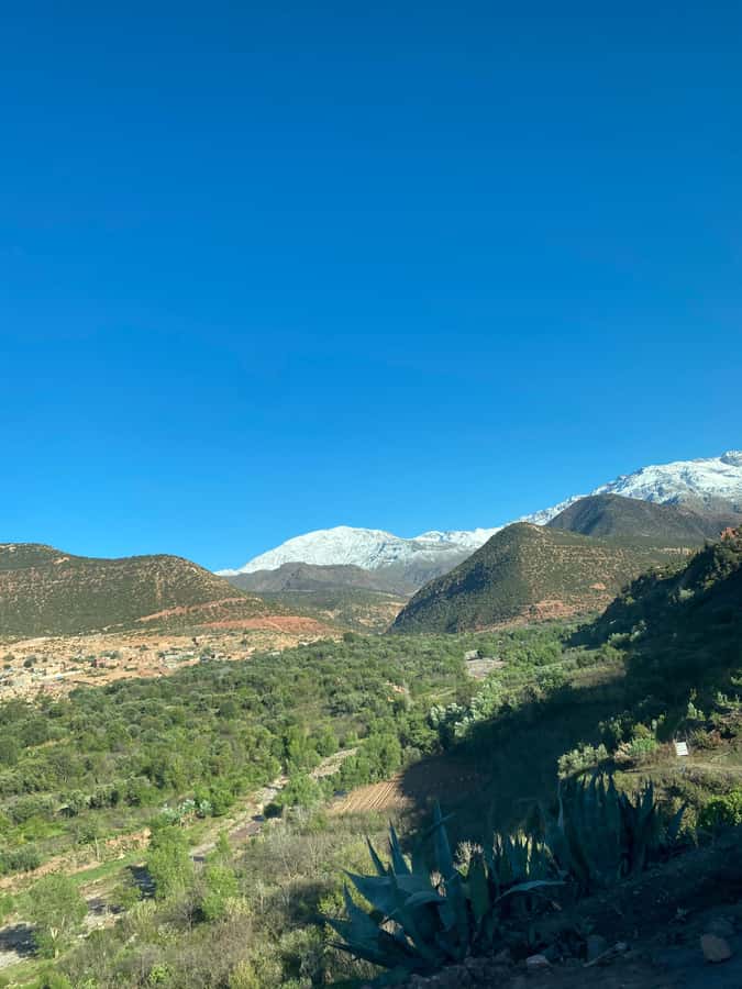 Marrakech to Ourika Valley-Scenic Day Tour Lunch & Waterfal - Who should book this Ourika Valley tour?