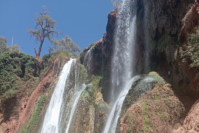 Marrakech to Ouzoud Waterfalls Day Tour - Five things to know before booking